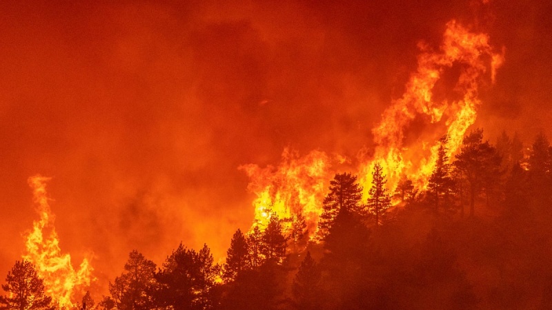 کیلیفورنیا میں جنگلات میں لگی بھیانک آگ