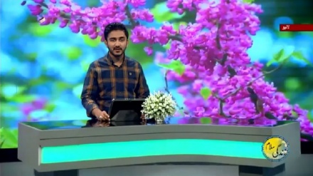 سماجی پروگرام ۔ زندگی سلام