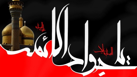 حضرت امام محمد تقی (ع) کی شہادت، عالم اسلام سوگوار و عزادار+ ویڈیو