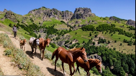 بەرزاییەکانی «چوبڕ» لەژێر پێی سروشت گەڕەکان له ئەردەبیل