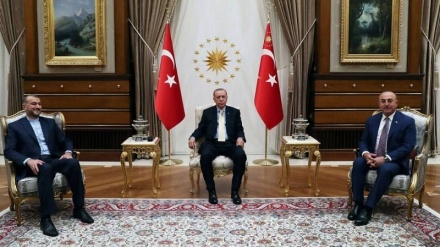 Emîr-Ebdullahiyan bi Erdogan re civiya