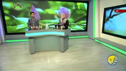 سماجی پروگرام ۔ زندگی سلام