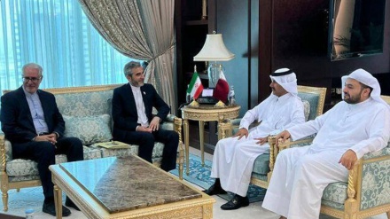 Baqiri Qətər XİN-in rəsmilərilə görüşüb