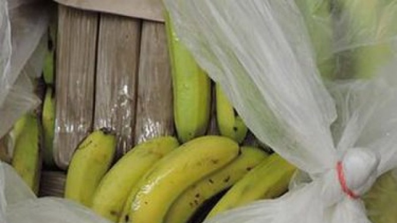 Sekuestrohen 300 kg kokainë mes ngarkesës me banane nga Kolumbia