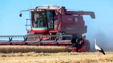 Ukraina dhe Rusia firmosin në Stamboll marrëveshjen për eksportin e grurit