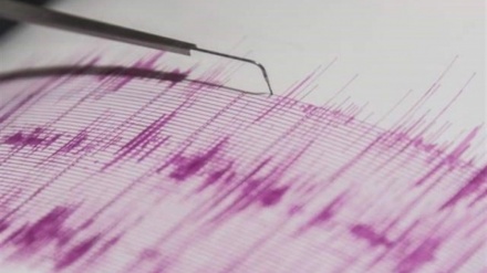 ایران کے زلزلے سے اماراتی عوام میں خوف۔ ویڈیو