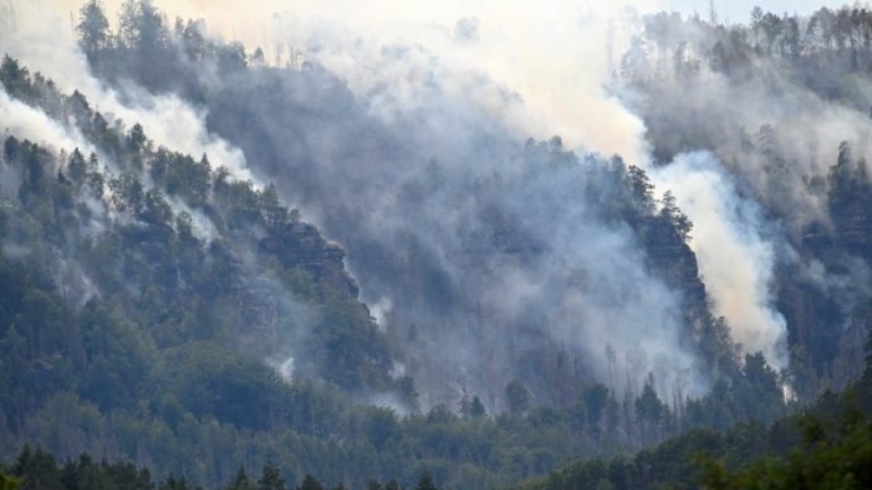 Zjarri në pyll në kufirin gjermano-çek po përhapet, parku kombëtar në rrezik
