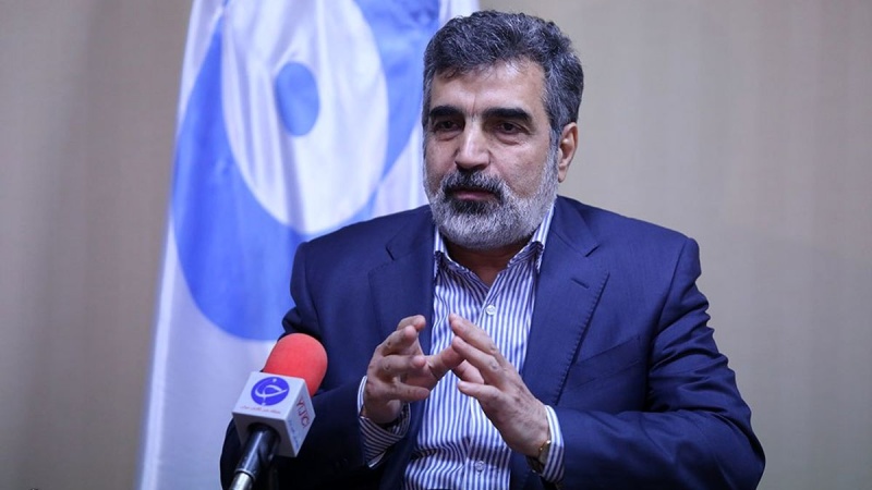 بیس فی صد افزودگی  ہمارا قانونی حق ہے، ایران