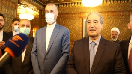 وزیر خارجہ اہم دورے پر شام پہنچے، شامی وزیر خارجہ کا اہم بیان+ ویڈیو