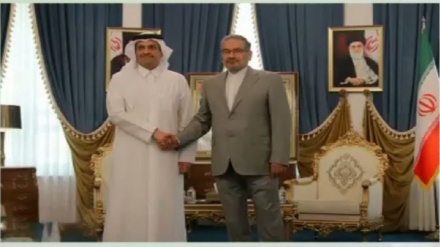 قطری وزیر خارجہ کی ایران کی اعلی قومی سلامتی کونسل کے سیکریٹری سے ملاقات