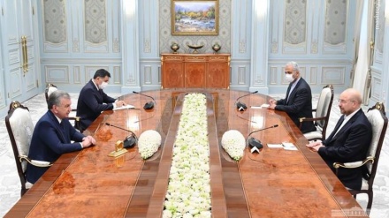 İran parlamentinin spikeri Özbəkistan prezidenti ilə görüşüb 