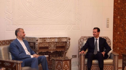 وزیر خارجہ کی شامی صدر بشار اسد سے ملاقات+ ویڈیو