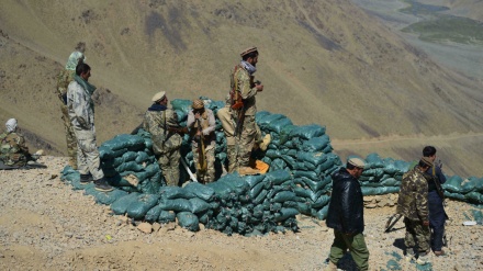 طالبان اور احمد مسعود میں عارضی جنگ بندی پر اتفاق 