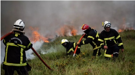 Zjarrfikësit e Londrës, për herë të parë kaq të ngarkuar 