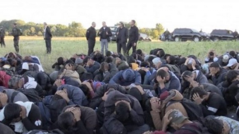 Pamje tronditëse të Aleksandar Vulinit me emigrantët në kufi