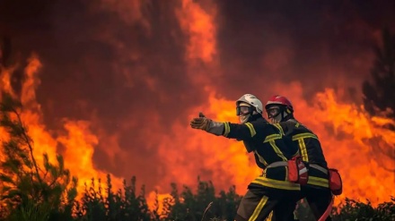 Preko 1700 osoba u Španiji i Portugalu umrlo od toplotnog udara