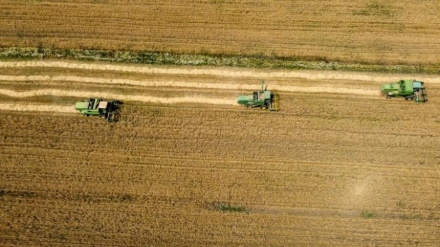 Rreziku nga mungesa e grurit në Kosovë