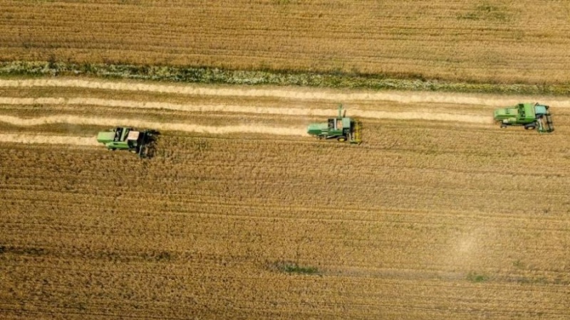 Rreziku nga mungesa e grurit në Kosovë