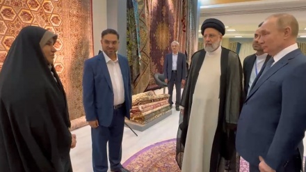ایرانی قالینوں کی نمائش میں روسی صدر کی حیرت!۔ ویڈیو