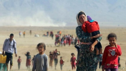 1259 keç û jinên Kurdên Êzidî wek revandî hatine tomarkirin