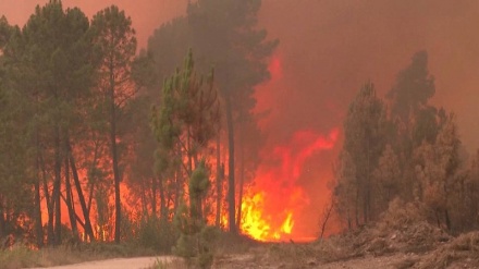 Šumski požari u Francuskoj i Španiji usred toplotnog vala