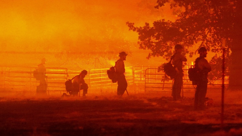 امریکہ میں گرمی کا قہر، دسیوں ہزار ایکڑ جنگل تباہ، متعدد ہلاک