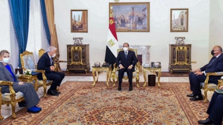 Kajro kërkoi shpjegim nga regjimi sionist për vrasjen e ushtarëve egjiptianë