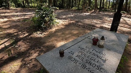 پولینڈ میں نازیوں کے ہاتھوں قتل ہونیوالے افراد کی اجتماعی قبریں دریافت