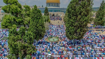 مسجد الاقصی میں نماز جمعہ کا روح پرور اجتماع، 50 ہزار فلسطینی سر بسجود