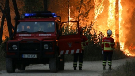 Toplotni val u Evropi uzrokuje požare širom kontinenta