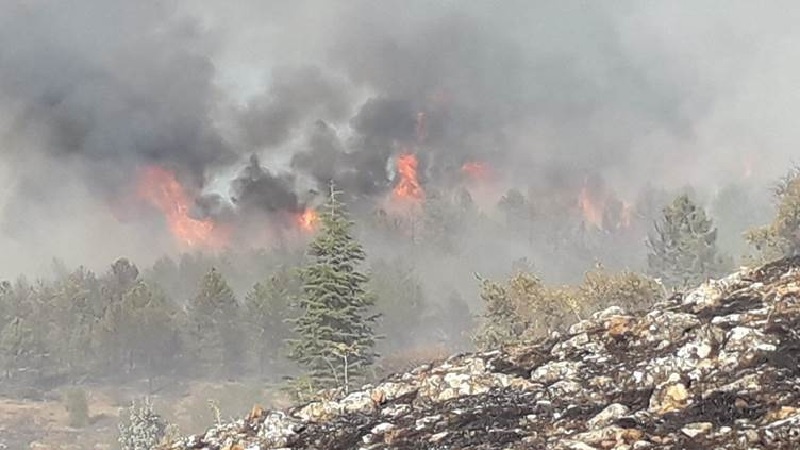  Li Xarpêt û Dêrsîmê yên Tirkiyê agir bi daristanê ket