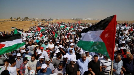غزہ مغربی کنارے کی حمایت میں اٹھ کھڑا ہوا (ویڈیو)