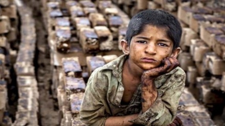 دویست کودک کار خیابانی در هرات به مکتب میروند