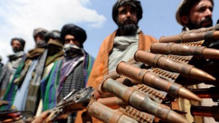 افغانی اور پاکستانی طالبان میں جھڑپیں، کئی ہلاک