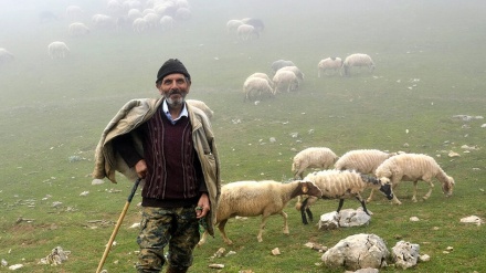  Bilindahiyên Çiyayê Dorfekê li Gîlanê 