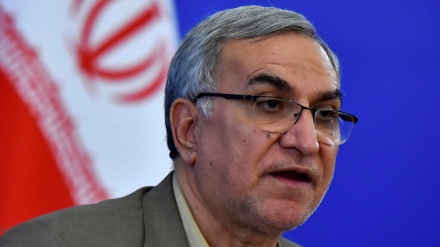 استاد ایک معنوی کمانڈر اور شاگرد ایک مجاہد ہے: وزیر صحت ایران