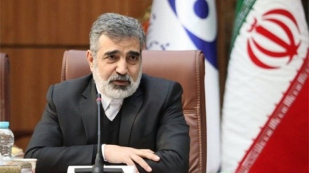 آئی اے ای اے نے ایران کے ایٹمی پروگرام کے پرامن ہونے کی تصدیق کی ہے: بہروز کمالوندی