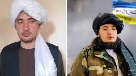  طالبان کی فائرنگ سے شیعہ ہزارہ طالبان کمانڈر جاں بحق