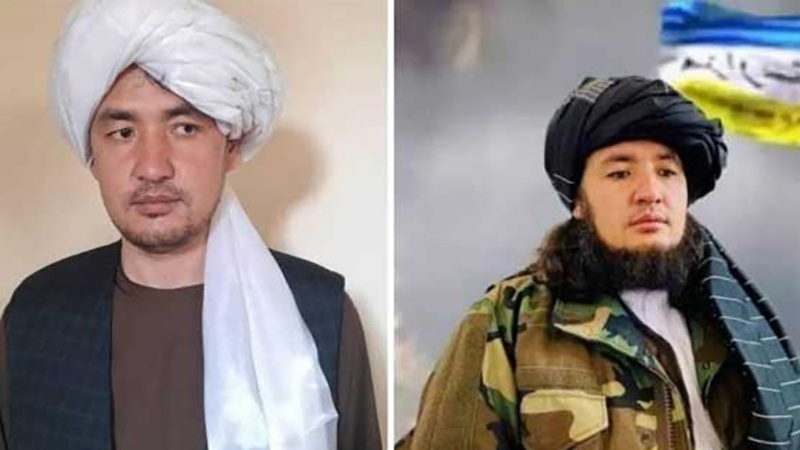  طالبان کی فائرنگ سے شیعہ ہزارہ طالبان کمانڈر جاں بحق