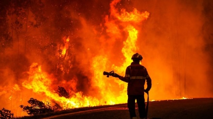 برطانیہ، گرمی کے باعث بھیانک آگ سُلگ اٹھی۔ ویڈیو