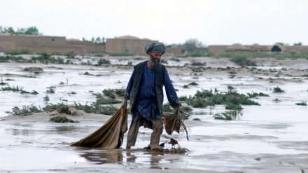 افغانستان میں سیلاب کی تباہ کاریاں، ایران نے کیا ہمدردی کا اظہار (ویڈیو)