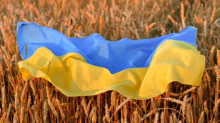 Ukrayna taxılı Afrikanın yerinə, Avropaya gedir