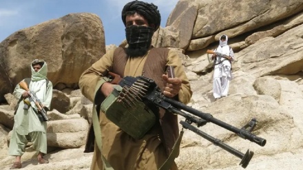 درگیری نیروهای طالبان و داعش در جنوب افغانستان