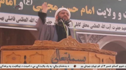 گرامیداشت ایام عزاداری ماه صفر در هرات