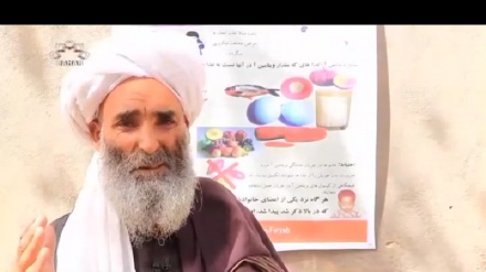  مبتلا شدن بیش از 1000 تن به بیماری کولرا در فاریاب