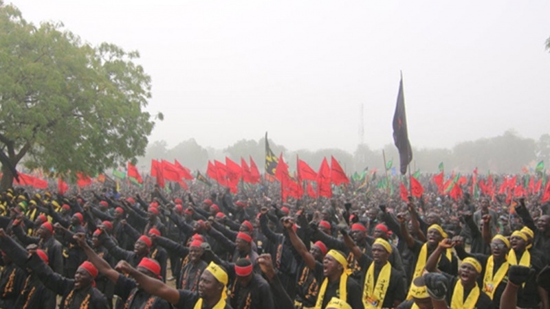 نائیجریا میں اربعین مارچ میں ہزاروں عزاداروں کی شرکت (ویڈیو)