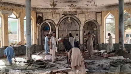  ہرات کی مسجد میں خود کش دھماکہ، امام سمیت 41 افراد جاں بحق و زخمی