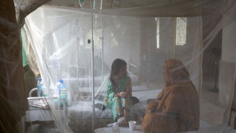 پاکستان، سیلاب زدہ علاقوں میں تیزی سے پھیلتا ملیریا