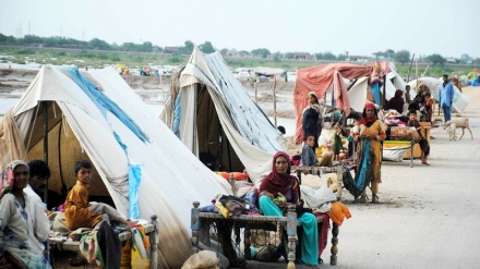 پاکستان میں سیلاب متاثرہ علاقوں میں ملیریا اورگیسٹرو سے مزید 12 افراد جاں بحق