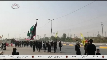 دومین گروه از زایرین افغانستانی وارد ایران شدند